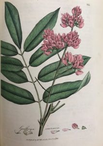 Medical Botany, William Woodville (1790)